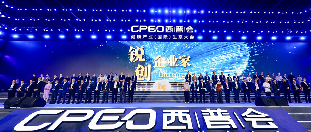 砥砺前行！龙8头号玩家荣获西普会两项大奖