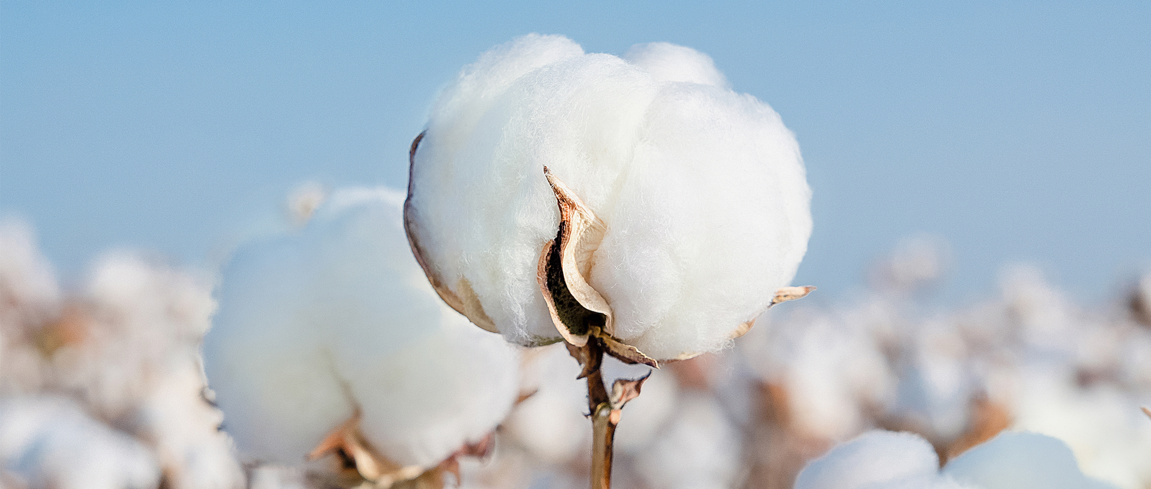 一图读懂龙8头号玩家集团2024年度ESG报告